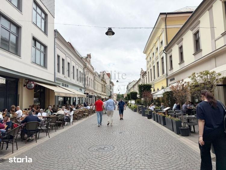 Spatiu Comercial Pietonala Vasile Alecsandri | 200 mp | Vitrina ampla - 1
