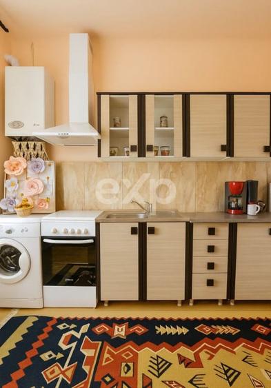 Apartament cu 2 camere semidecomandat în Horea
