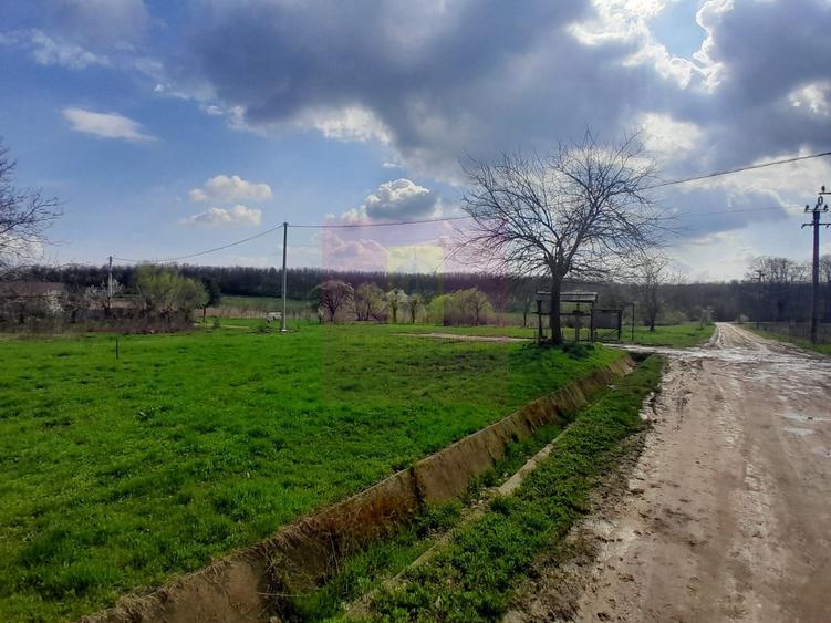 Teren în Central