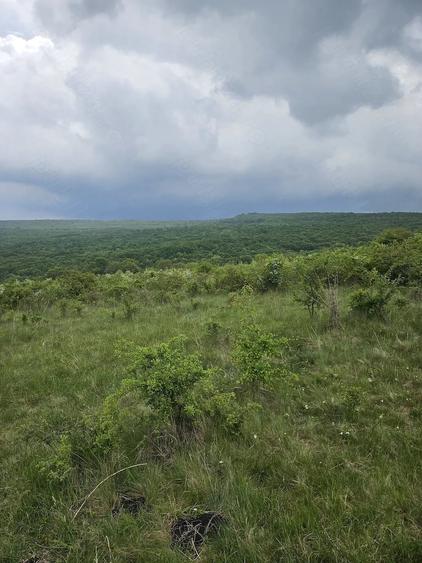Teren de 2900 mp, în Corușu
