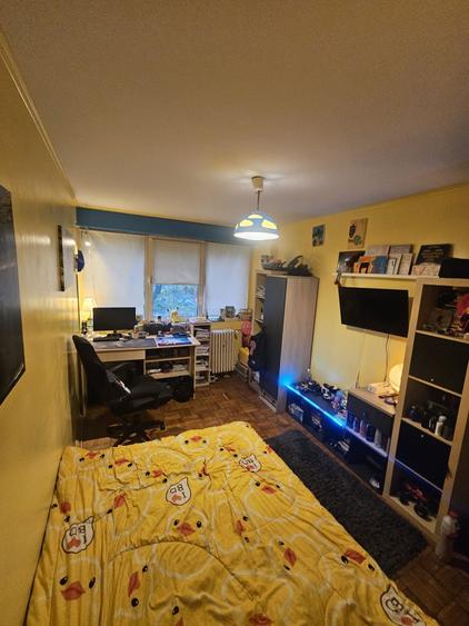 Vand apartament 3 camere decomandat - 8