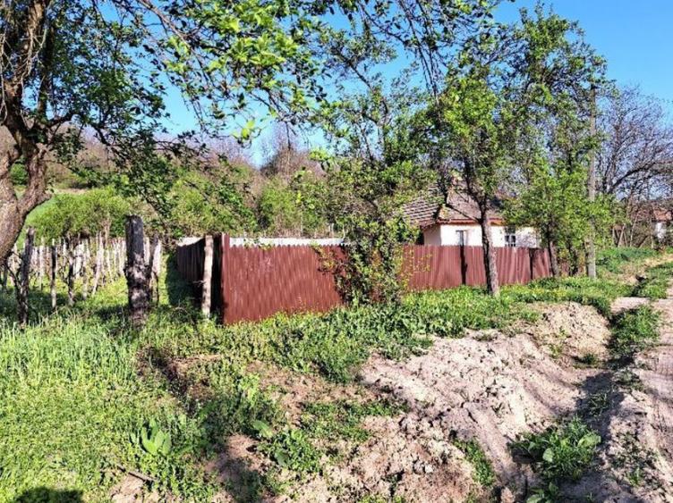Casă cu 1 camere cu Teren 441 Mp în Licurici