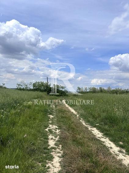 Teren de 4652 mp, în Oșorhei