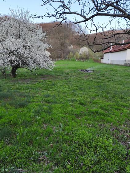 Teren de 3350 mp, în Sâmbotin