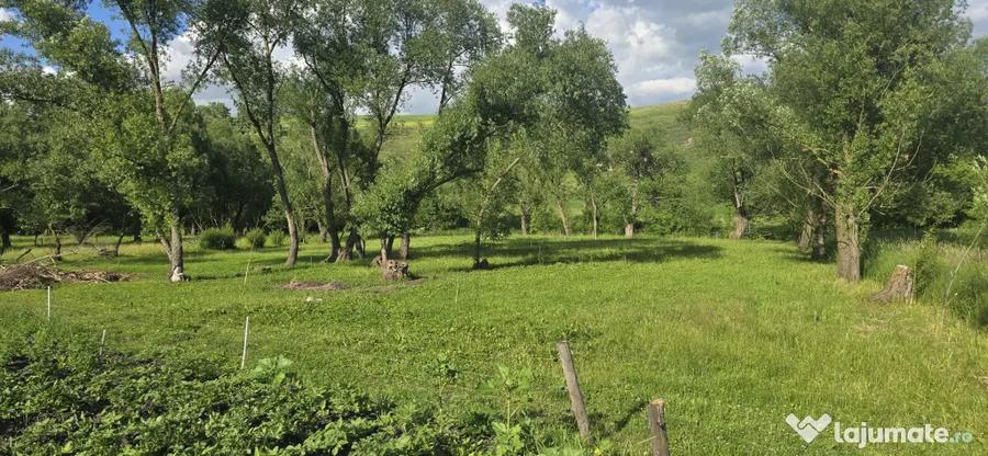 Casă cu 4 camere cu Teren 93 Mp în Zaharești