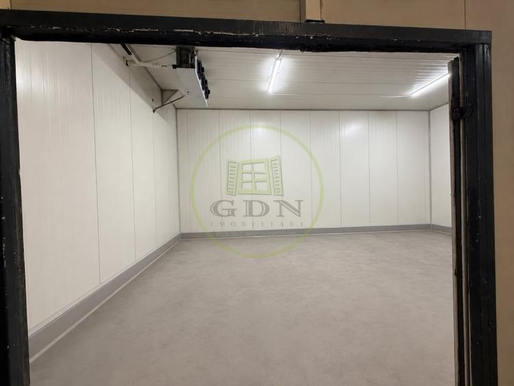 Hala Productie, 1522 mp, Cartier Rovine, zona Lidl - 4