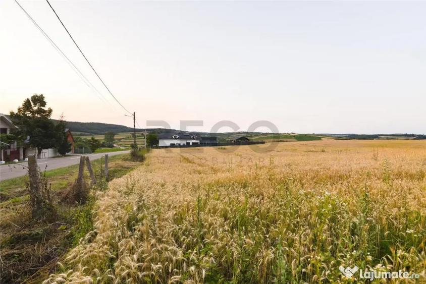 RECO Teren intravilan pentru casa Lazareni - 1