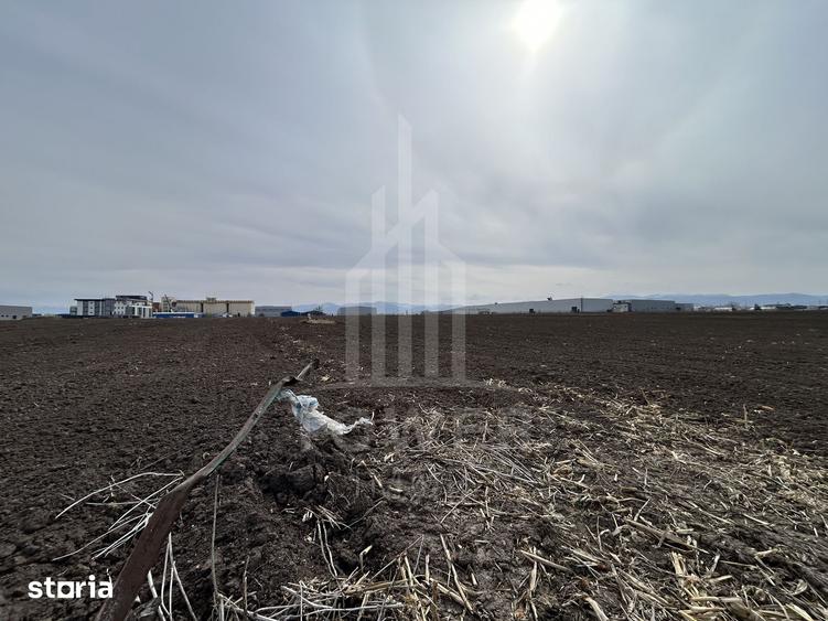 Teren intravilan de vanzare Zona Industriala Vest | Comision 0% - 6