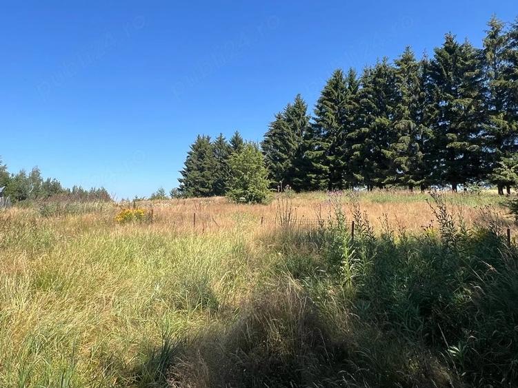 Teren de 4290 mp, în Gărâna
