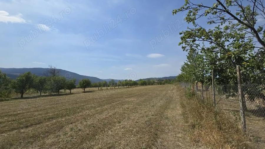 Teren de 4270 mp, în Agapia