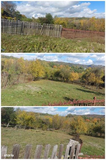 Teren de 3500 mp, în Berevoești