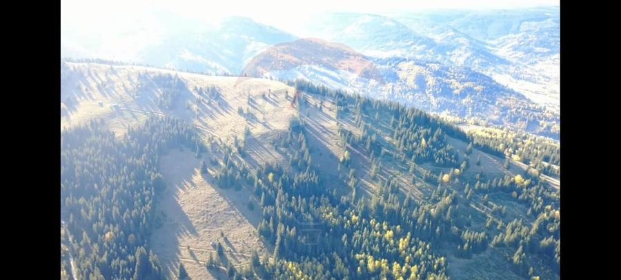Teren extravilan de 47732 mp, în Panaci