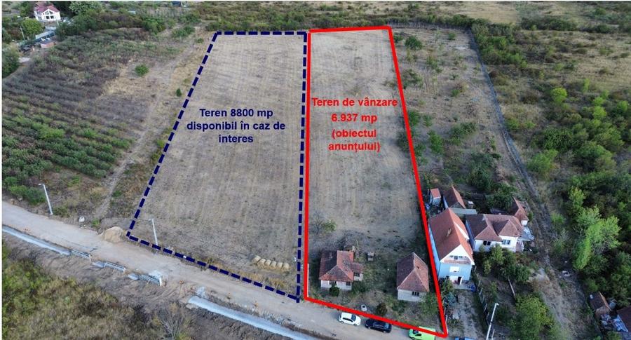 Teren Construcții intravilan de 6937 mp, în Dealuri Oradea