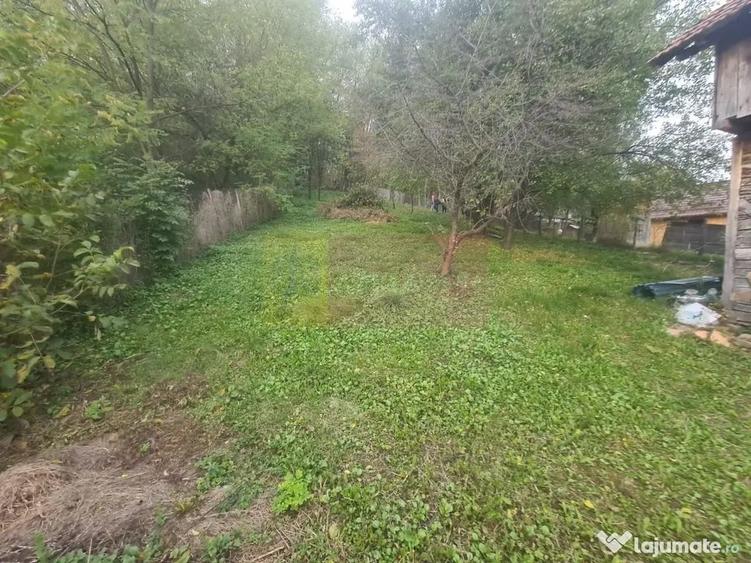 Casă cu 3 camere cu Teren 3410 Mp în Aluniș