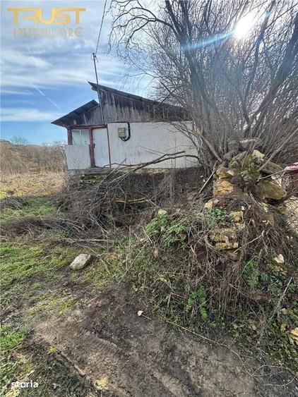 Teren intravilan I 1000 MP I Nadaselu - 4