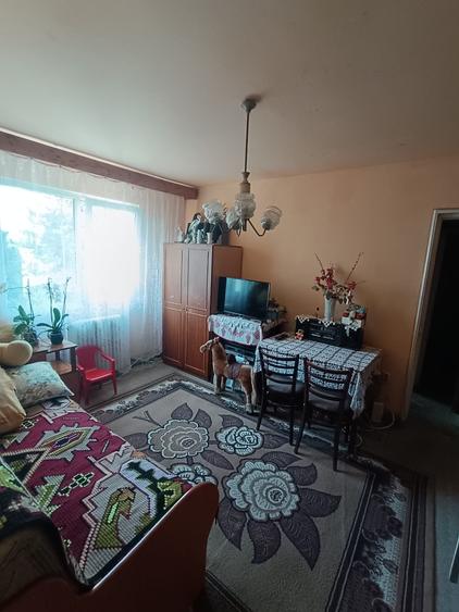 Apartament cu 3 camere în Mănăștur