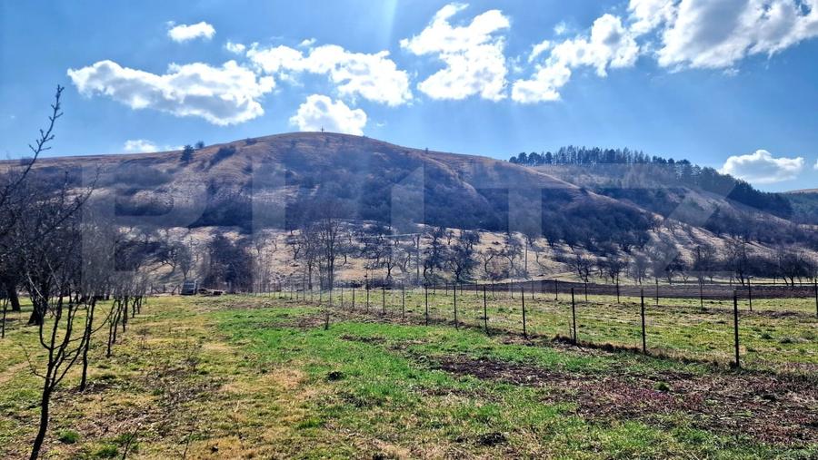 Teren Construcții intravilan de 600 mp, în Luna de Sus