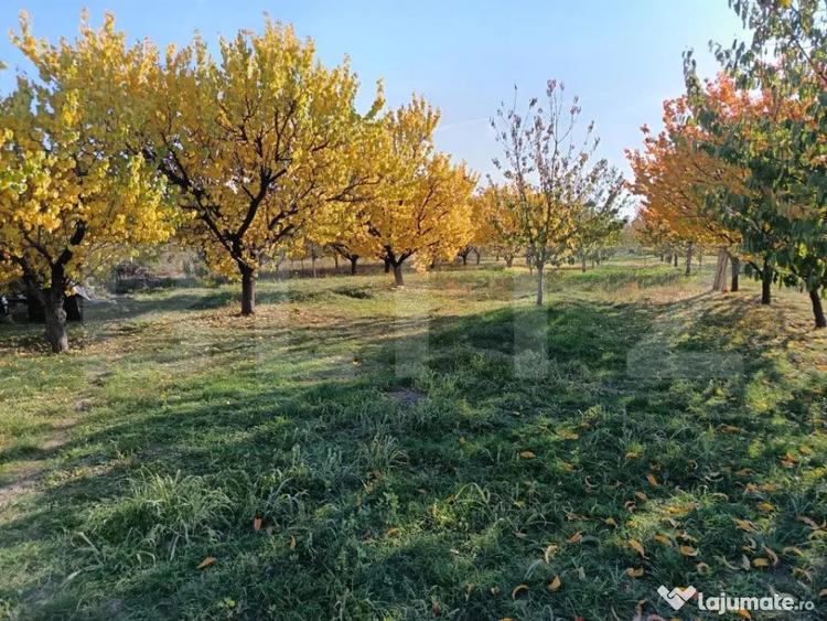 Teren de 6360 mp, în Măgurele
