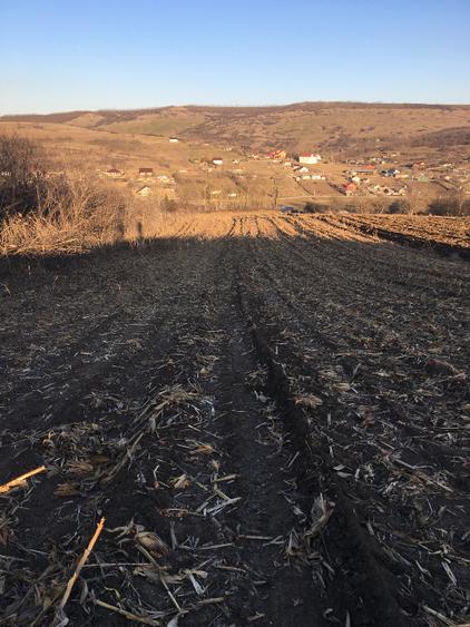 Teren agricol extravilan de 10500 mp, în Rediu Aldei