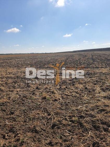 Teren agricol extravilan de 7802 mp, în Domnești