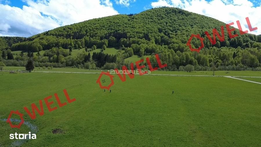 De vanzare teren extravilan in Vama Buzaului!