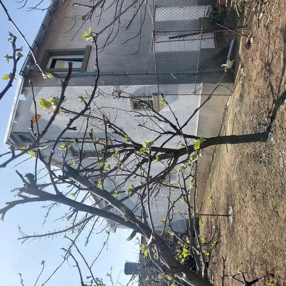 Ploiesti. zona ultracentrala Hotel Prahova, direct proprietar 265 mp utili, 613 mp teren - 8