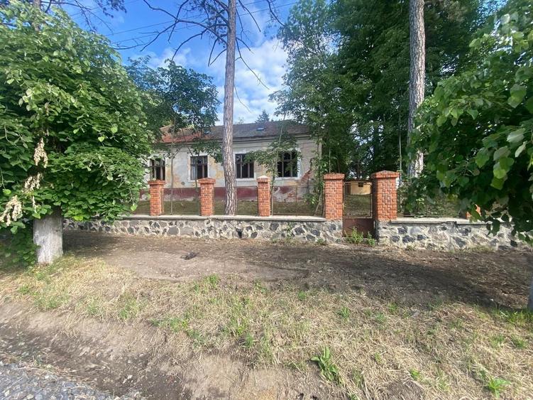 Casă individuală cu 10 camere cu Canalizare în Balinț