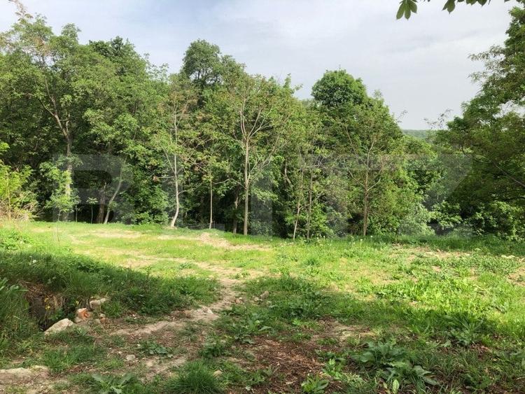 Teren Construcții intravilan de 14700 mp, în Exterior Vest