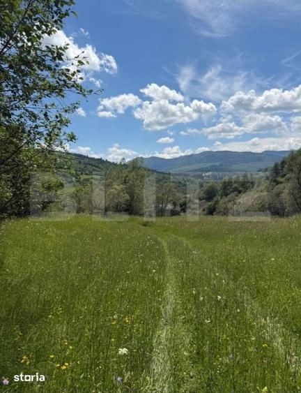 Teren Extravilan 5049 mp , Vama - Bucovina - 4