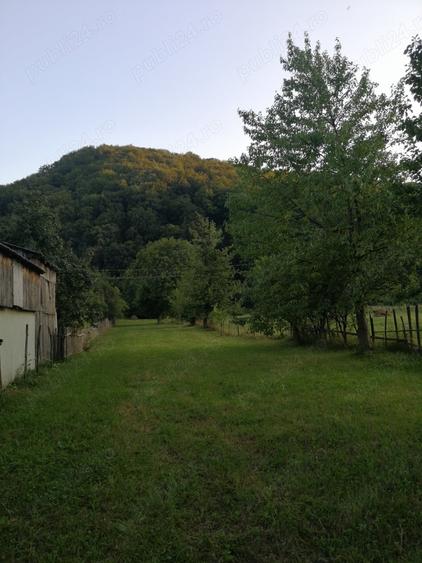Casă cu 2 camere cu Teren 2500 Mp în Dărmănești