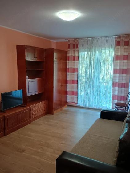 Apartament cu o camera de inchiriat - 5