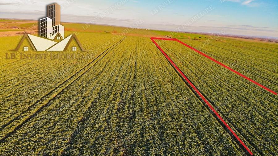 Teren agricol extravilan de 10000 mp, în Giarmata