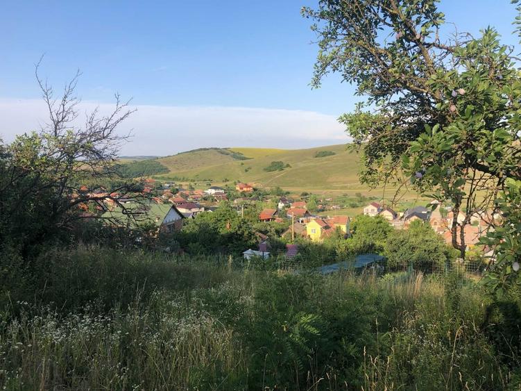 Teren de 2900 mp, în Dezmir