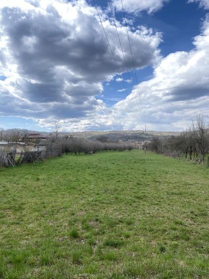 Teren în Pruni