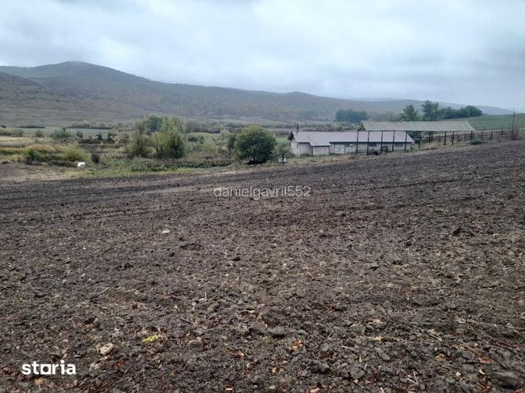 vand 12 hectare teren arabil cu microferma si iaz