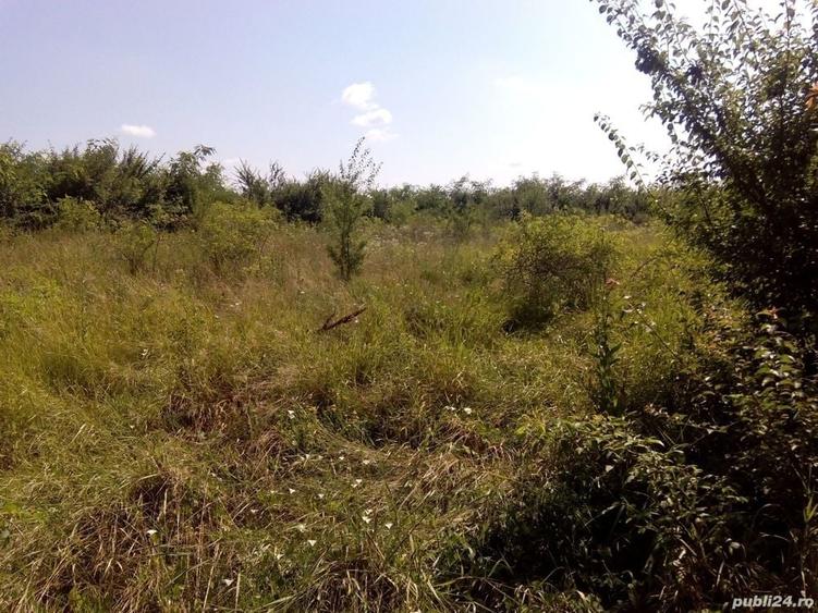 Teren de 1150 mp, în Butimanu