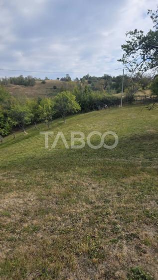 Teren Construcții intravilan de 8300 mp, în Pleși