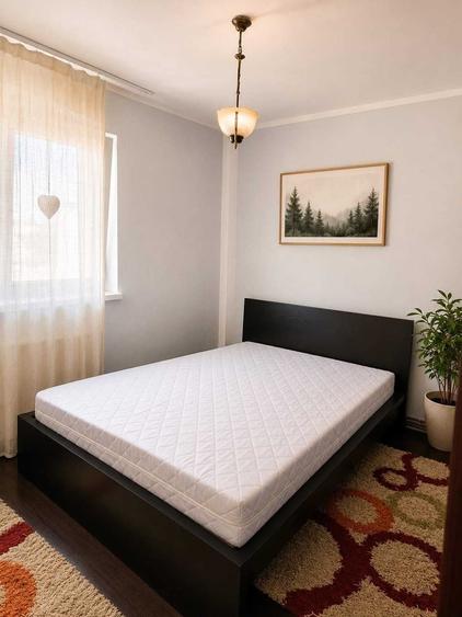 Apartament cu 2 camere decomandat în Ultracentral