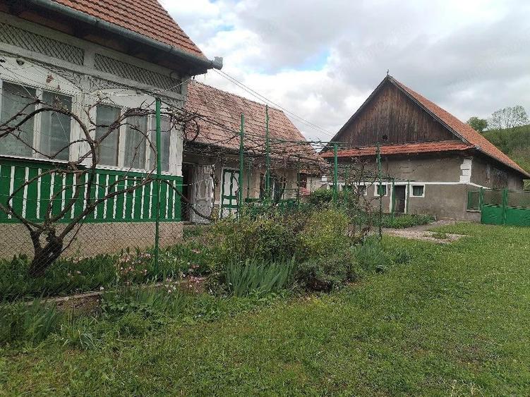 Se vinde casa cu bucatarie de vara,sura si 3400 mp teren intravilan in Vistea la 16 km de Cluj - 1