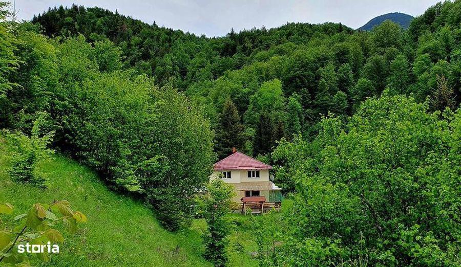 Casă cu 4 camere cu Teren 160 Mp în Dâmbovicioara