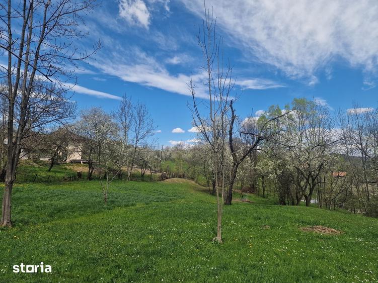 Teren de 12000 mp, în Ghioșești