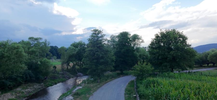 Teren agricol extravilan de 3021 mp, în Șinca Nouă