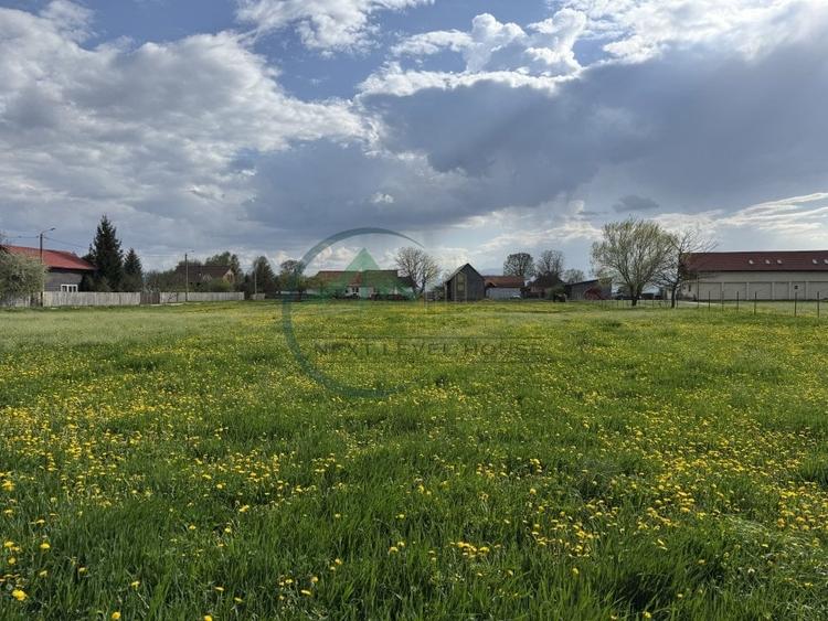 Teren Construcții intravilan de 6179.009765625 mp, în Băcel