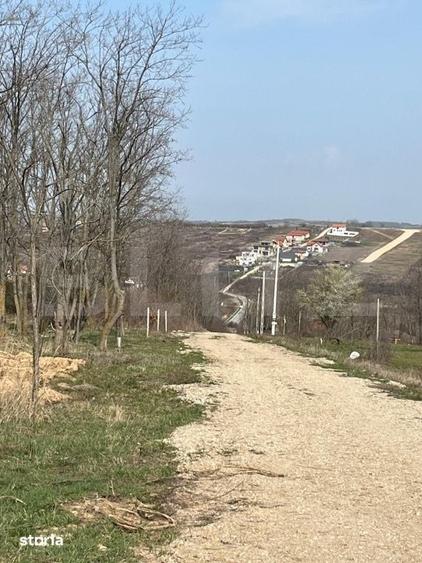 Teren de 9783 mp, în Paleu