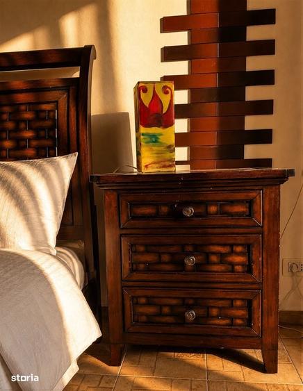 Apartament 2 camere de inchiriat Parcul Tineretului | Vila noua - 12