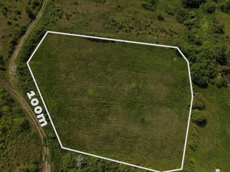 Teren Construcții intravilan de 8000 mp, în Ciurbești