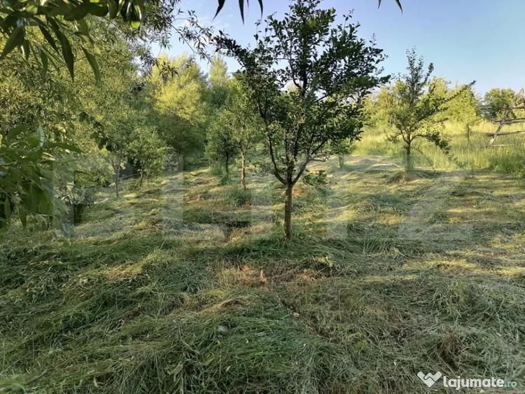 Teren de 14400 mp, în Gemenea-Brătulești