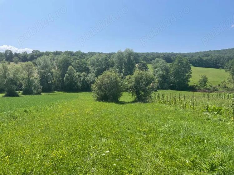 Teren de 2500 mp, în Central