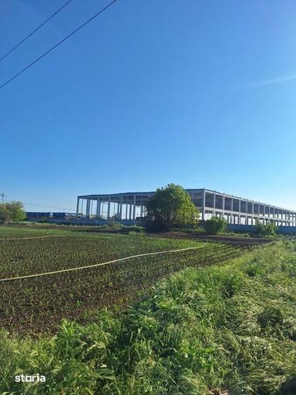 Teren de 14450 mp, în Palazu Mare