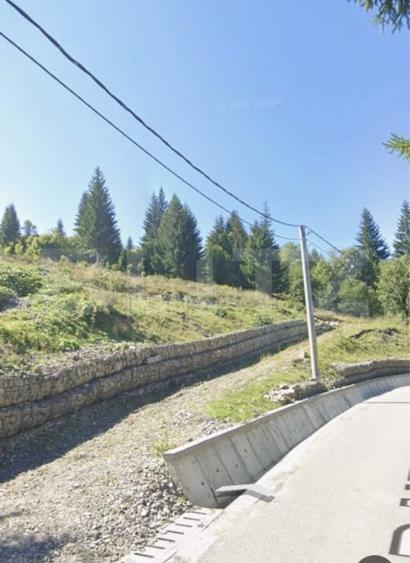 Teren Construcții intravilan de 5000 mp, în Câmpulung Moldovenesc